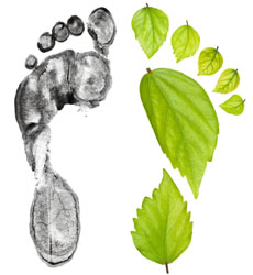 go-green-footprints
